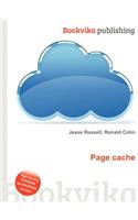 Page Cache