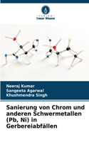 Sanierung von Chrom und anderen Schwermetallen (Pb, Ni) in Gerbereiabfällen