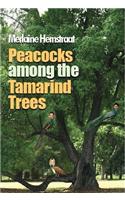 Peacocks Among the Tamarind Trees
