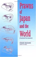 Prawns of Japan and the World