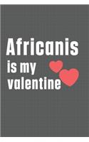 Africanis is my valentine: For Africanis Dog Fans