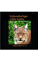 Vidunderlige Vilde Katte