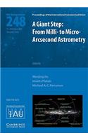 Giant Step: From MILLI- To Micro- Arcsecond Astrometry (Iau S248)