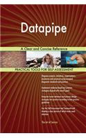 Datapipe A Clear and Concise Reference