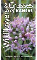 Wildflowers and Grasses of Kansas