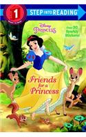 Friends for a Princess (Disney Princess)