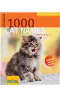 1000 Cat Names from A-Z