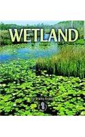 Wetland