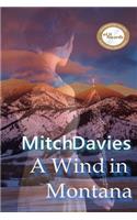 Wind In Montana