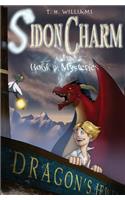 Sidon Charm and the Book of Mysteries
