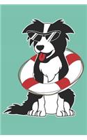 Love My Border Collie
