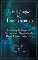 Life is fragile, but Love is STRONG: Identifying the People and Circumstances Comprising the Mosaic Window of Our Lives
