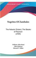 Negritos Of Zambales