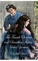 Female Servant and Sensation Fiction