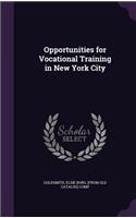 Opportunities for Vocational Training in New York City