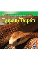 Taipan / Taipán