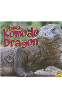 I Am a Komodo Dragon: (I Am (Av2 Weigl))