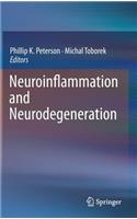 Neuroinflammation and Neurodegeneration