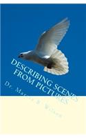 Describing Scenes from Pictures