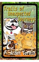 Trails of Unexpected Journeys