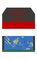 Business Opportunities in Indonesia