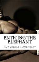 Enticing The Elephant