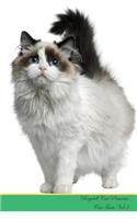 Ragdoll Cat Presents: Cat Facts Workbook. Ragdoll Cat Presents Cat Facts Workbook with Self Therapy, Journalling, Productivity Tracker with Self Therapy, Journalling, Productivity Tracker Workbook. Includes: Space for Notes, to Do Lists, Brainstorm