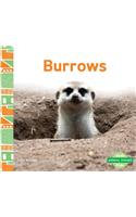 Burrows: (Animal Homes (Ak))