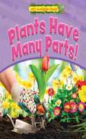 Plants Have Many Parts!