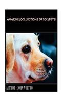 Amazing collections of Dog Pets