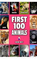 First 100 Animals: Full Color Animals Book