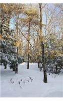 Sunlight Trees Winter Weather Journal