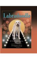 Labradoodle