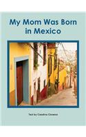 My Mom Was Born in Mexico