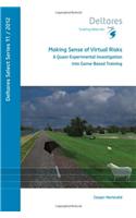 Making Sense of Virtual Risks