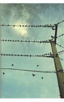 Birds on Wires Journal