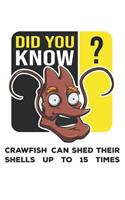 Did You Know?: Funny Crawfish Notebook for any seafood and crayfish lover.Fun Crawdaddy Quotes and Sayings . Planner Diary Note Book - 120 Squared Pages