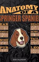 Anatomy Of A Springer Spaniel: Springer Spaniel 2020 Calendar - Customized Gift For Springer Spaniel Dog Owner