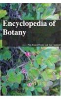 ENCYCLOPEDIA OF BOTANY, 3 VOLUME SET