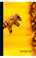 Sunflower Bee