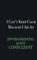 I cant Keep Calm because I am an Environmental Audit Consultant: Writing careers journals and notebook. A way towards enhancement