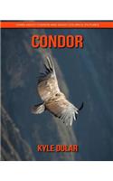 Condor! Learn about Condor and Enjoy Colorful Pictures