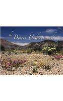 Desert Underground