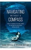 Navigating Without a Compass: Tools to Survive the Challenges of an Adopted Child with Special Needs