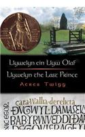 Cyfres Cip ar Gymru / Wonder Wales: Llywelyn ein Llyw Olaf