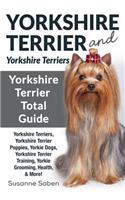Yorkshire Terrier And Yorkshire Terriers