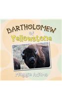 Bartholomew of Yellowstone