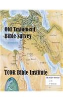 Old Testament Bible Survey