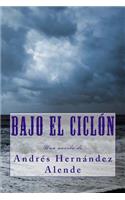 Bajo el ciclon