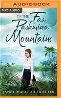 In the Far Pashmina Mountains